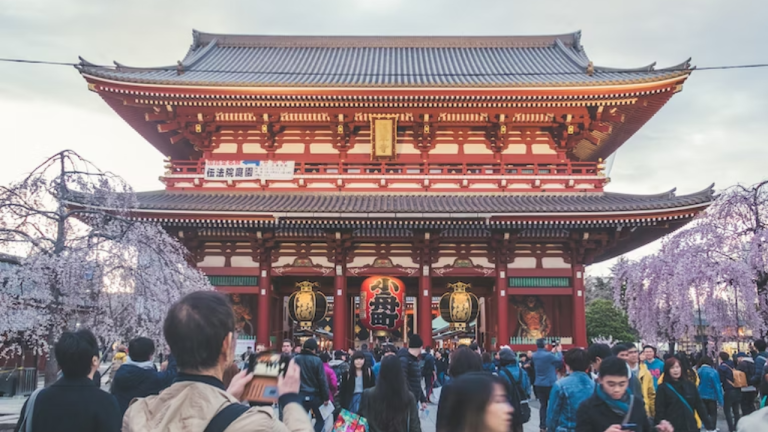 What You Need to Know Before Studying Abroad in Japan