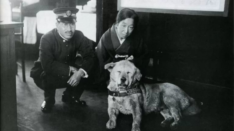 20 Interesting Facts About Hachiko – The Loyal Dog