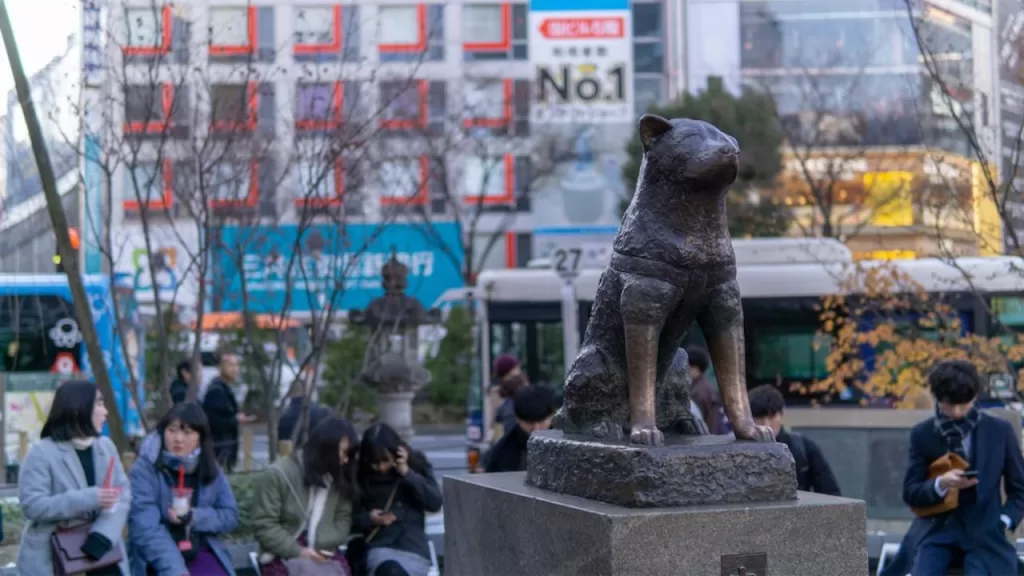 Hachiko statue Shibuya