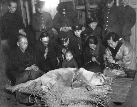 Hachiko funeral