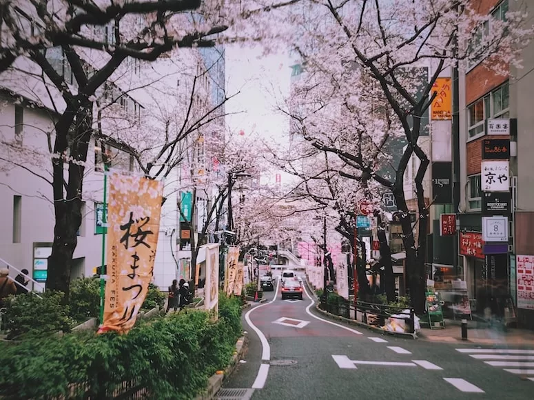 narrow japanese streets