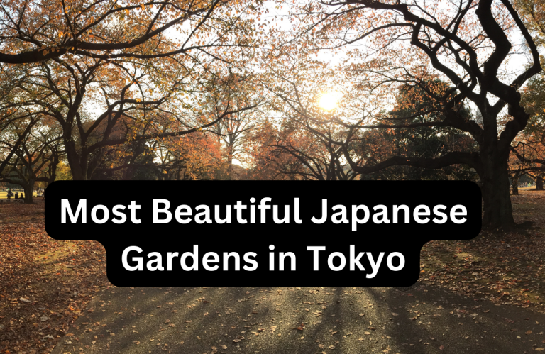 Most Beautiful Japanese Gardens in Tokyo