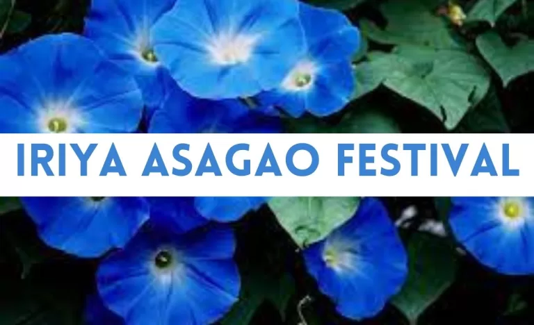 Iriya Asagao Festival