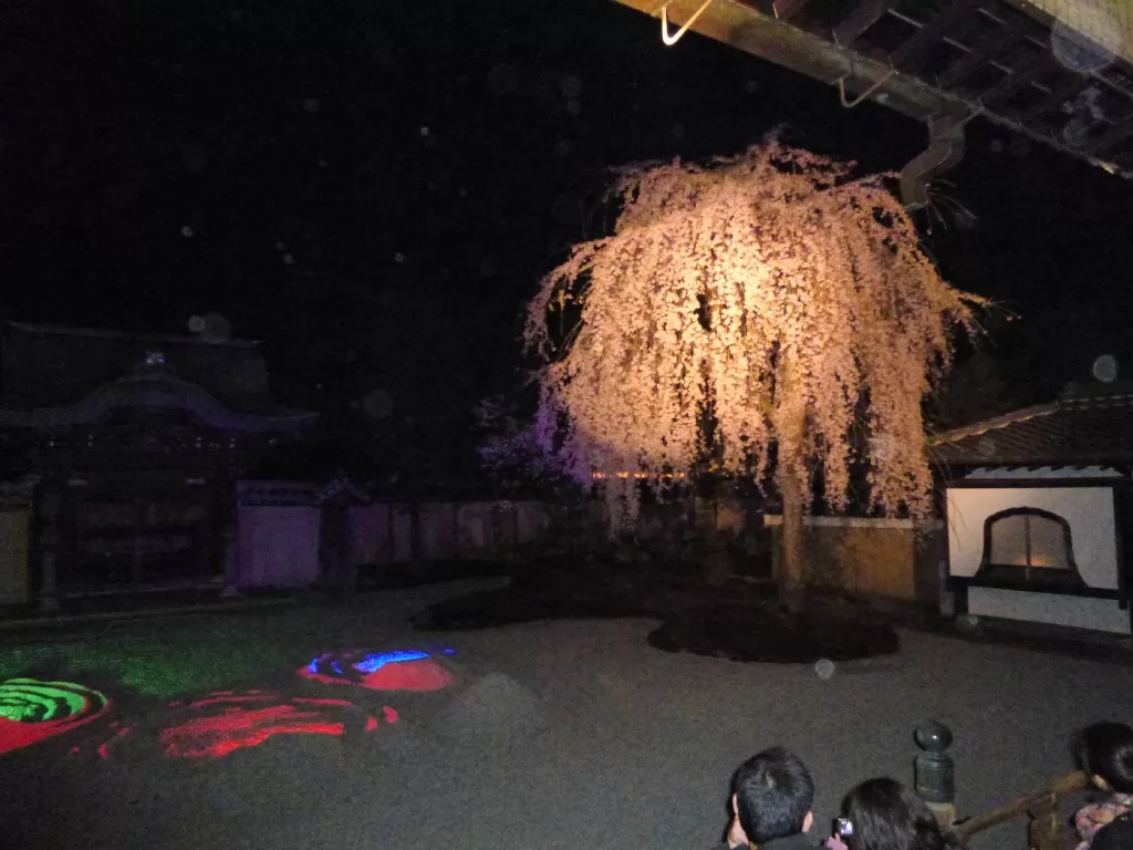 Kodai-ji Illumination