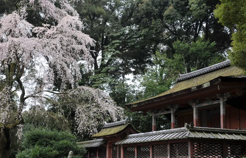 Daigo-ji Temple