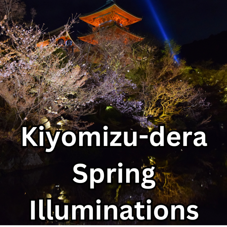 Kiyomizu-dera Spring Illuminations