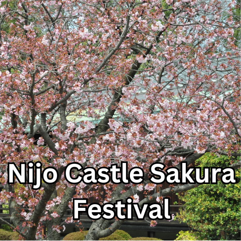 Nijo Castle Sakura Festival