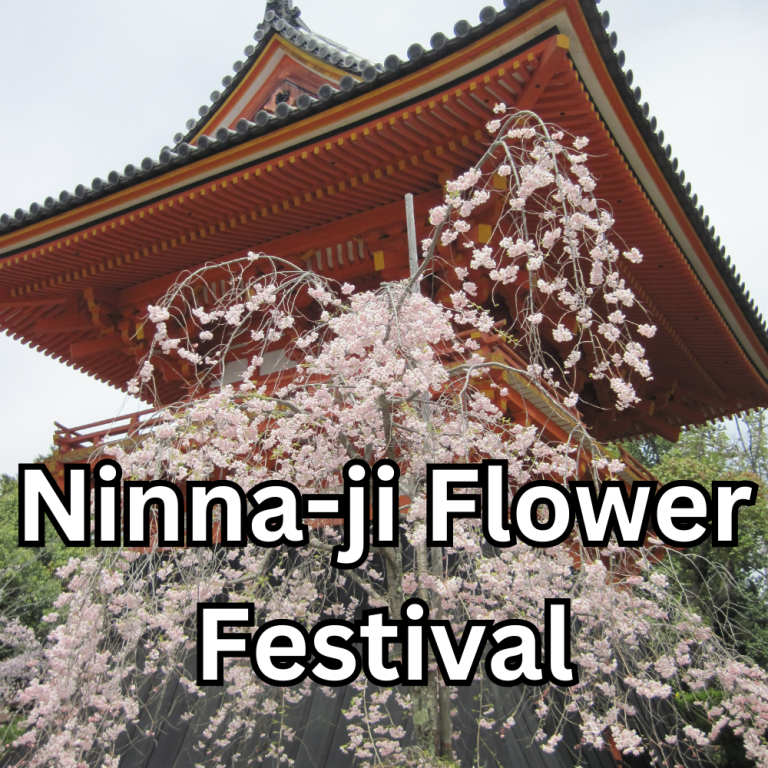 Cherry Blossom Extravaganza: Ninnaji Flower Festival