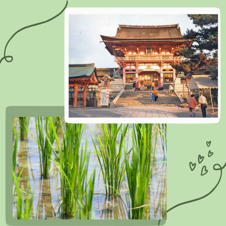 Taue-sai Rice Planting Festival