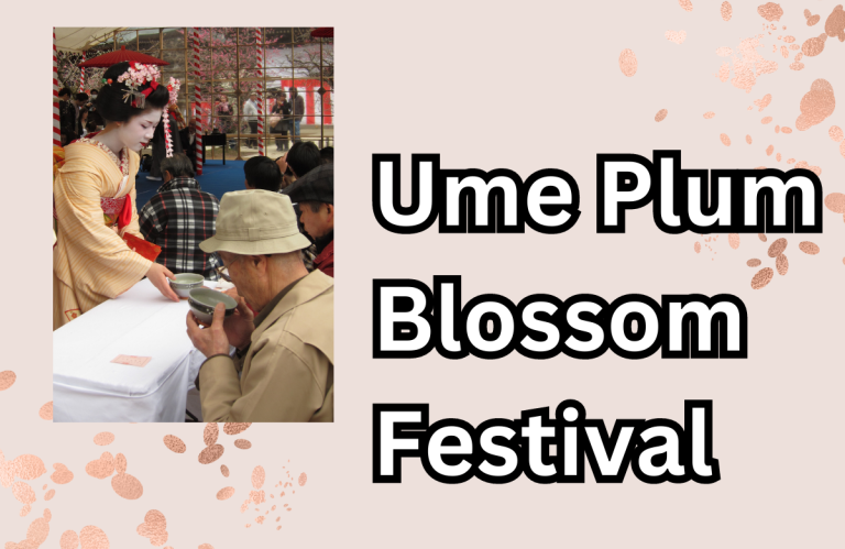 Ume plum blossom festival