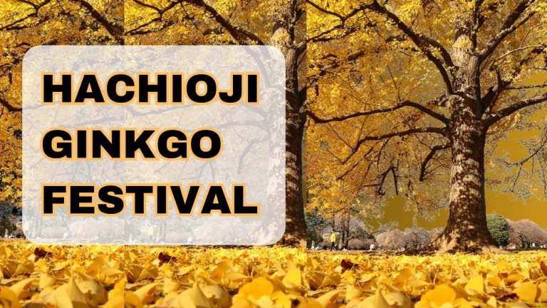 Hachioji Ginkgo Festival