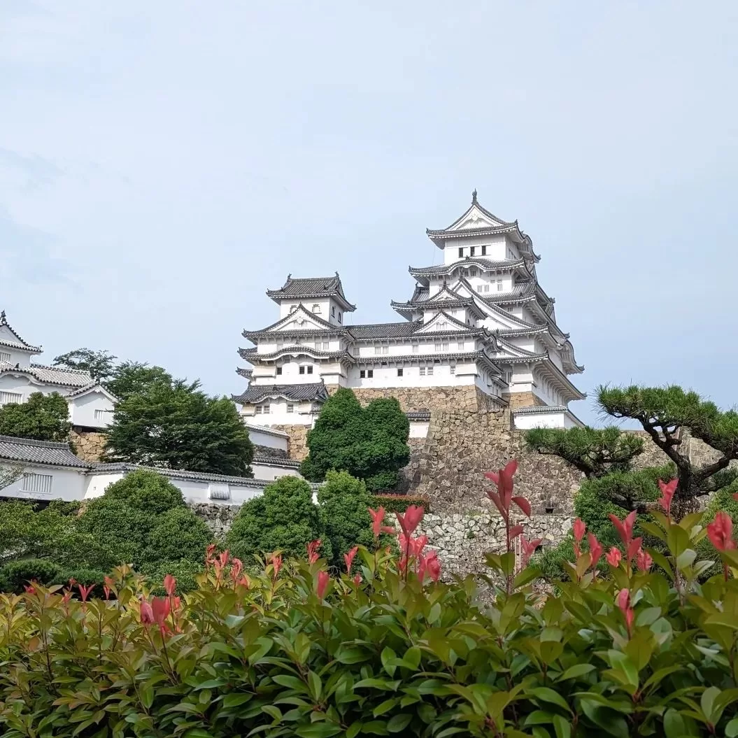 Himeji Castle 5