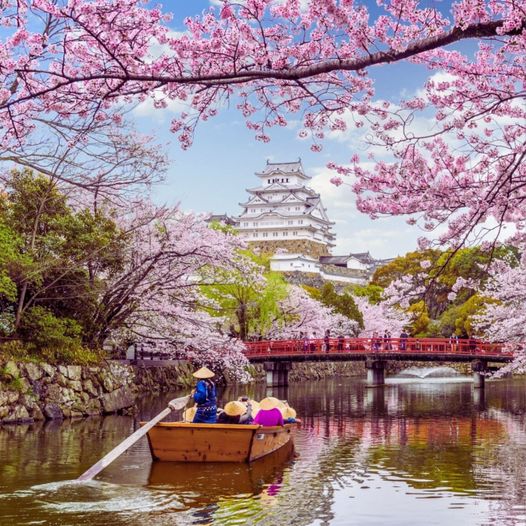 Himeji Castle:  Before You Visit Here’s Everything You Need To Know