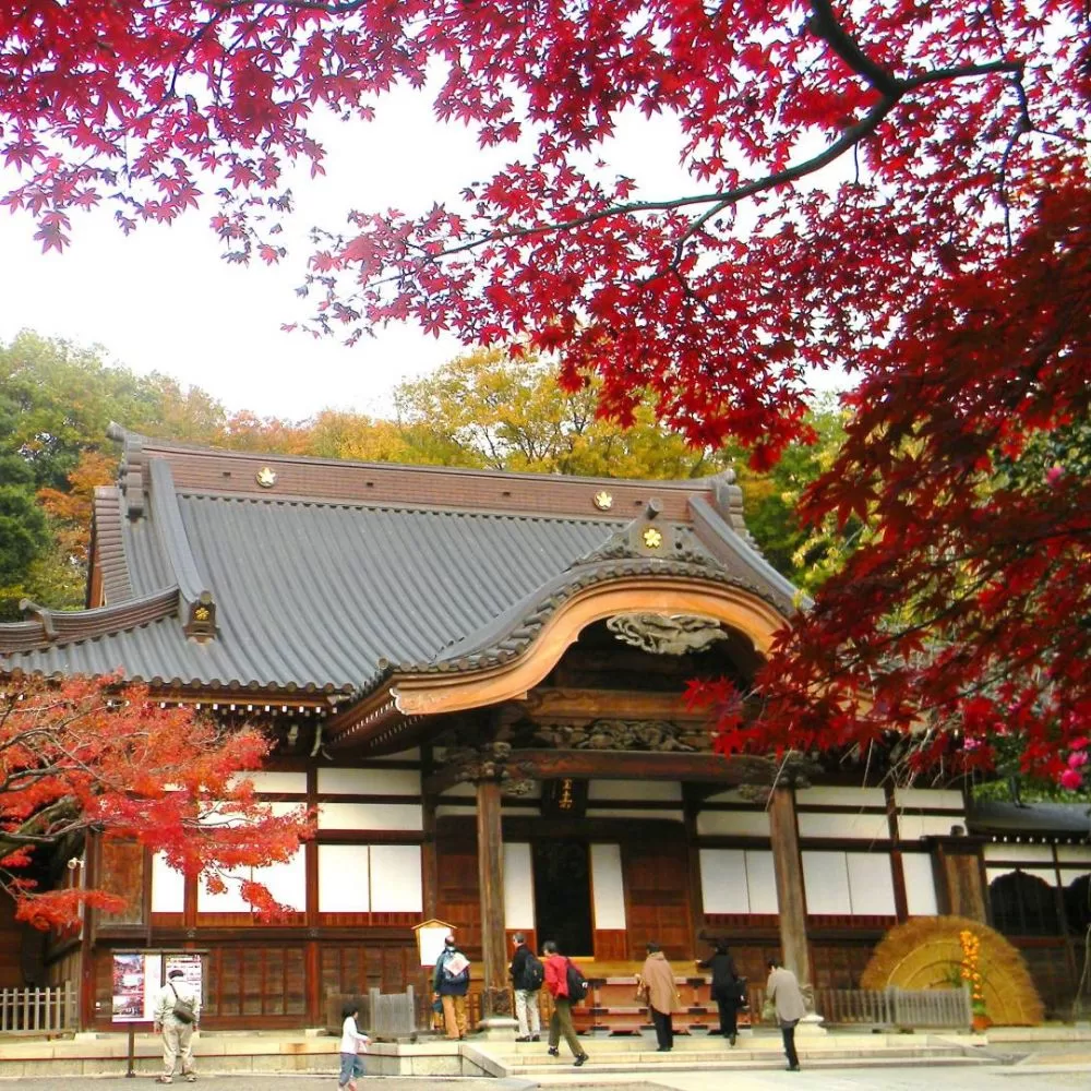 Jindaiji Temple Autumn Festival