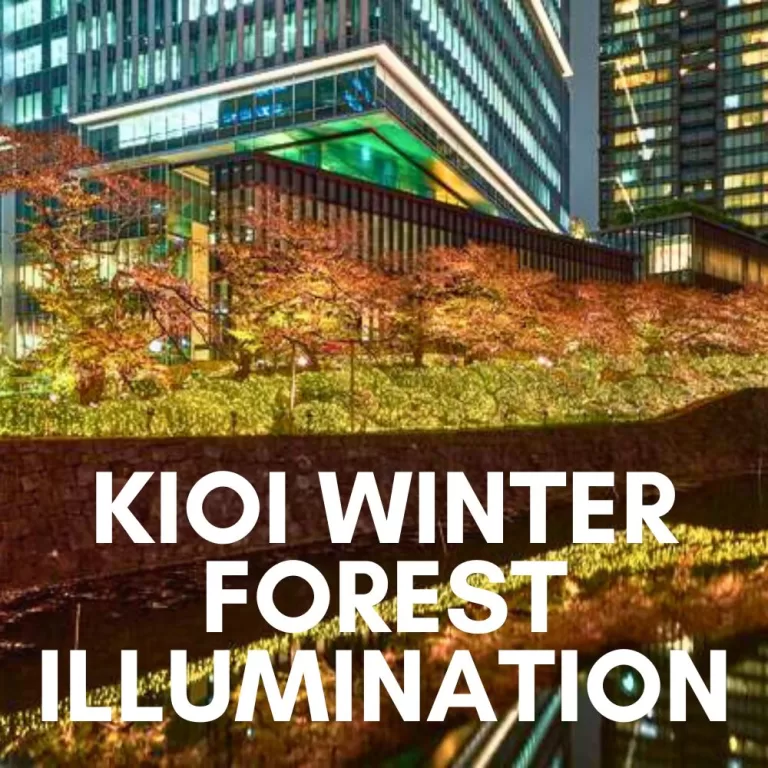 Kioi Winter Forest Illumination