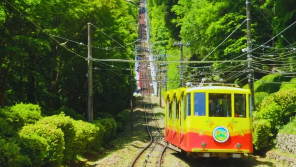 Mt. Takao Wakaba Festival

