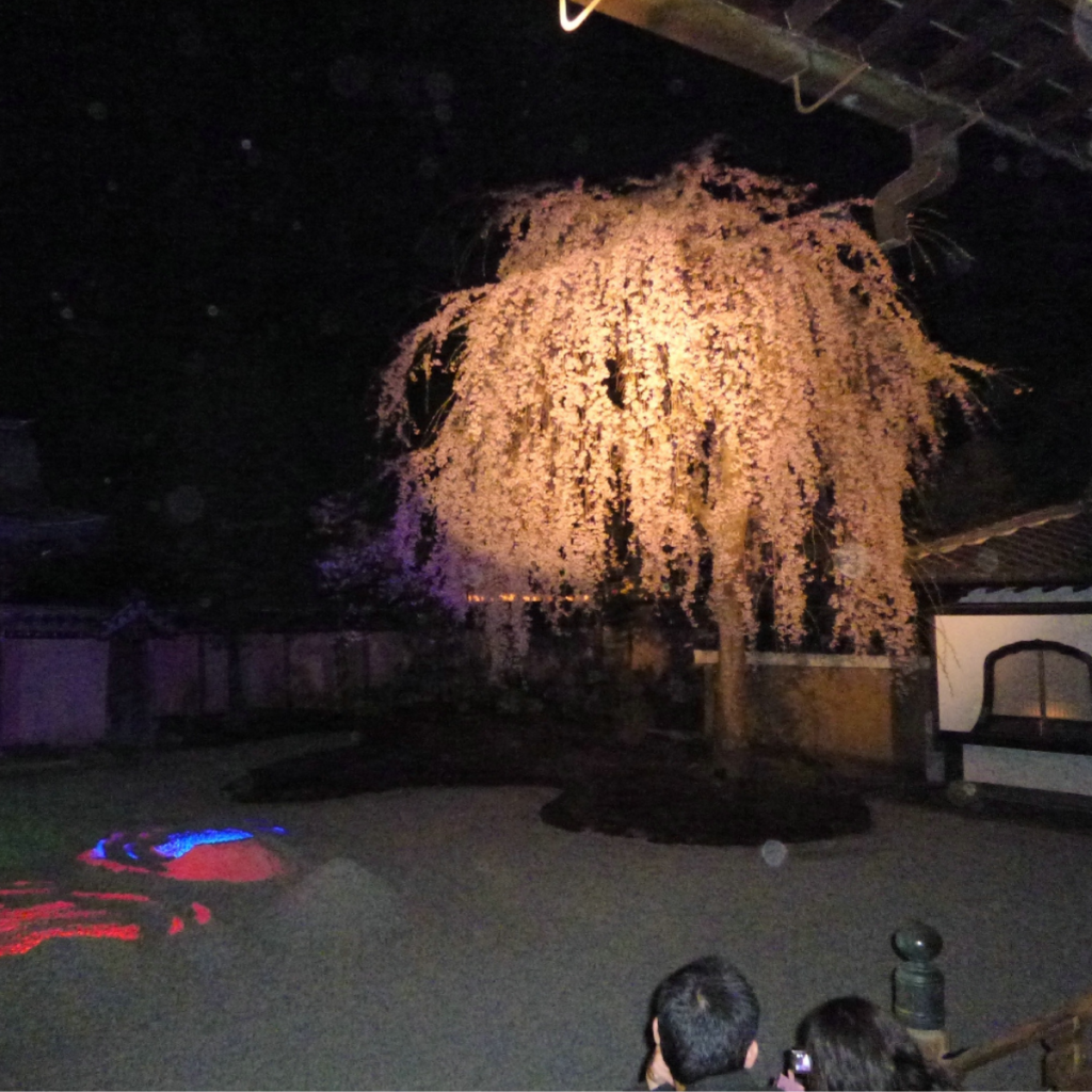 Kodai-ji Autumn Illumination