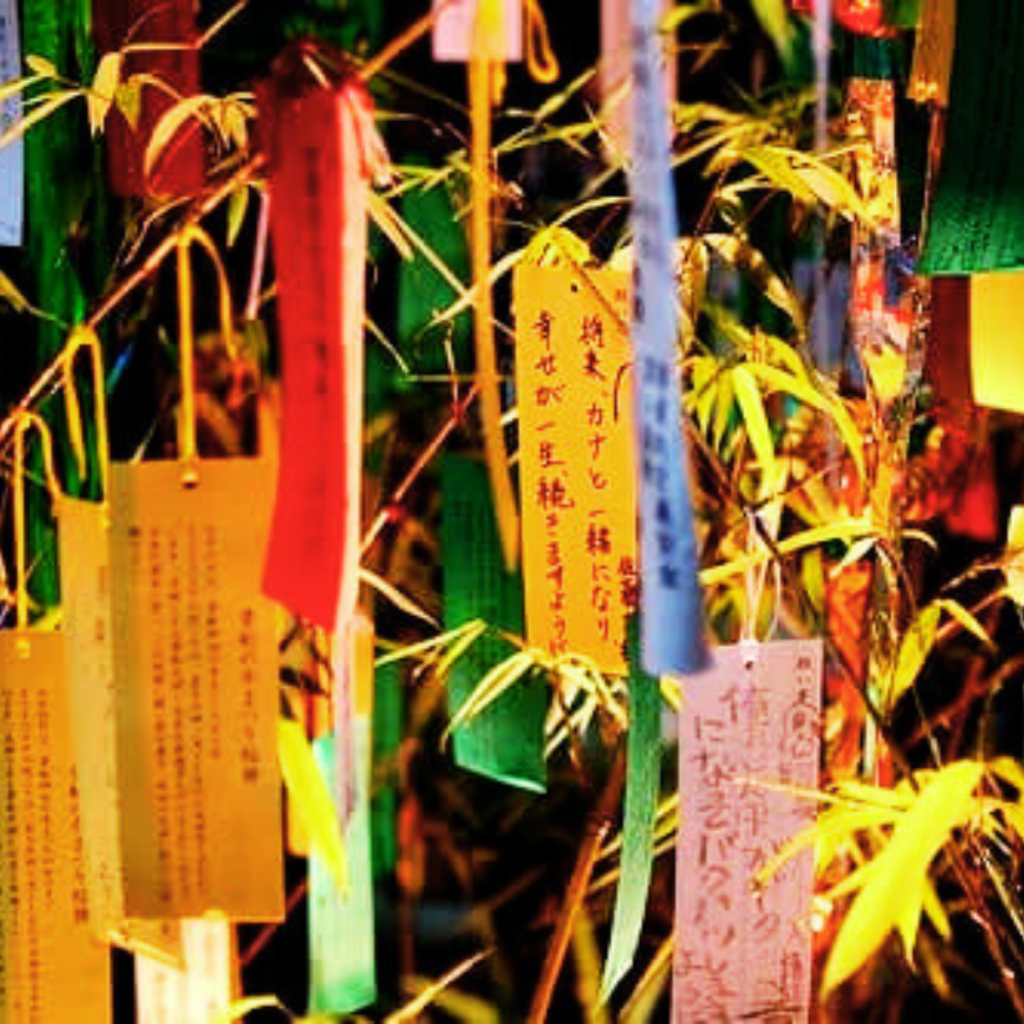 Tanabata wishes in bamboo