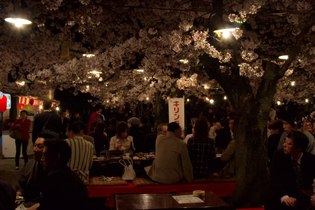 Maruyama Park