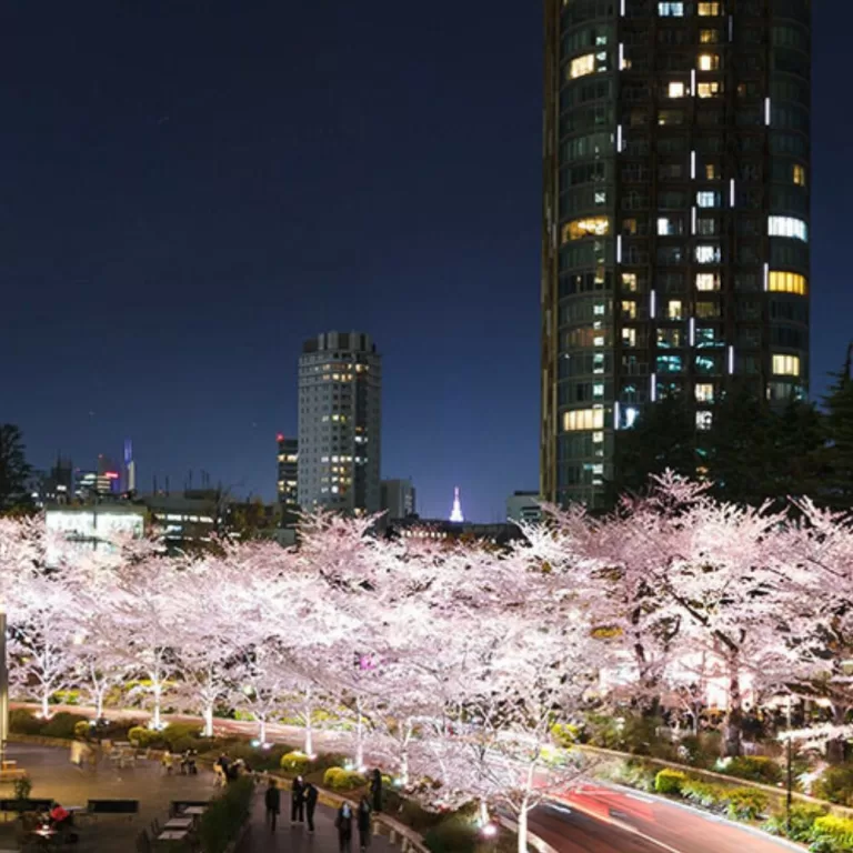 Tokyo Midtown Spring Celebration: Midtown Blossom