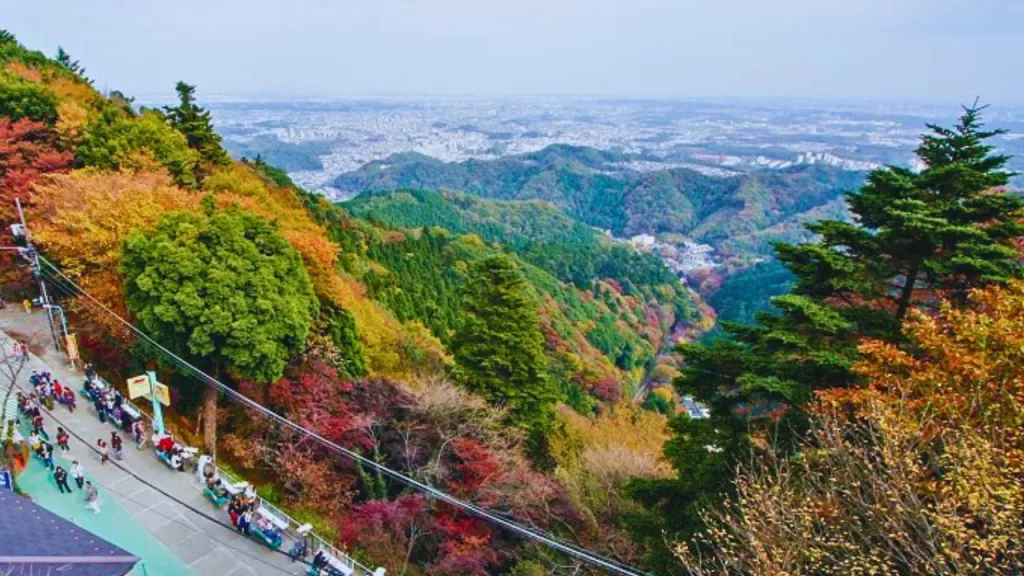 Mt. Takao Wakaba Festival

