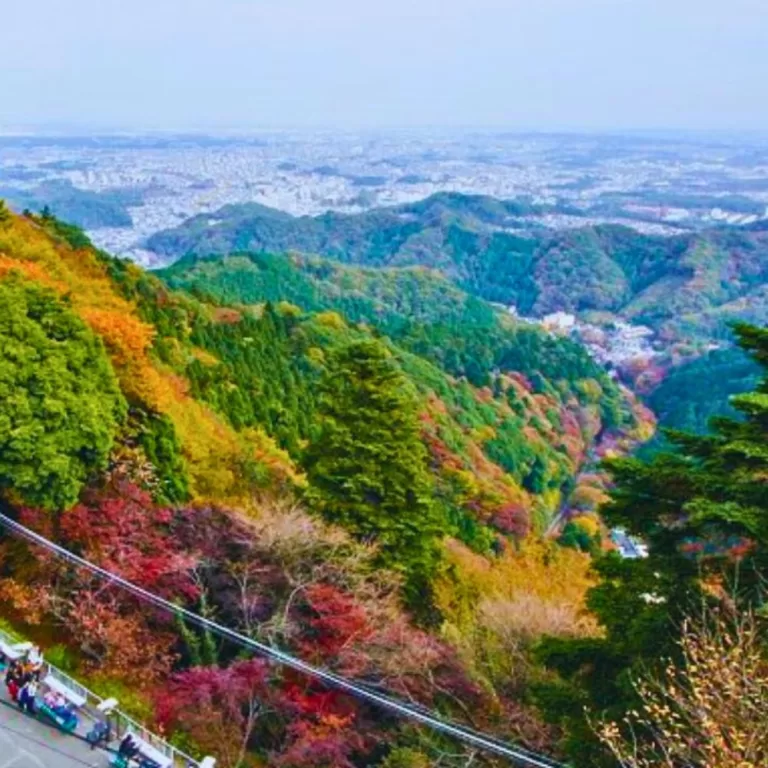 Mt. Takao Wakaba Festival