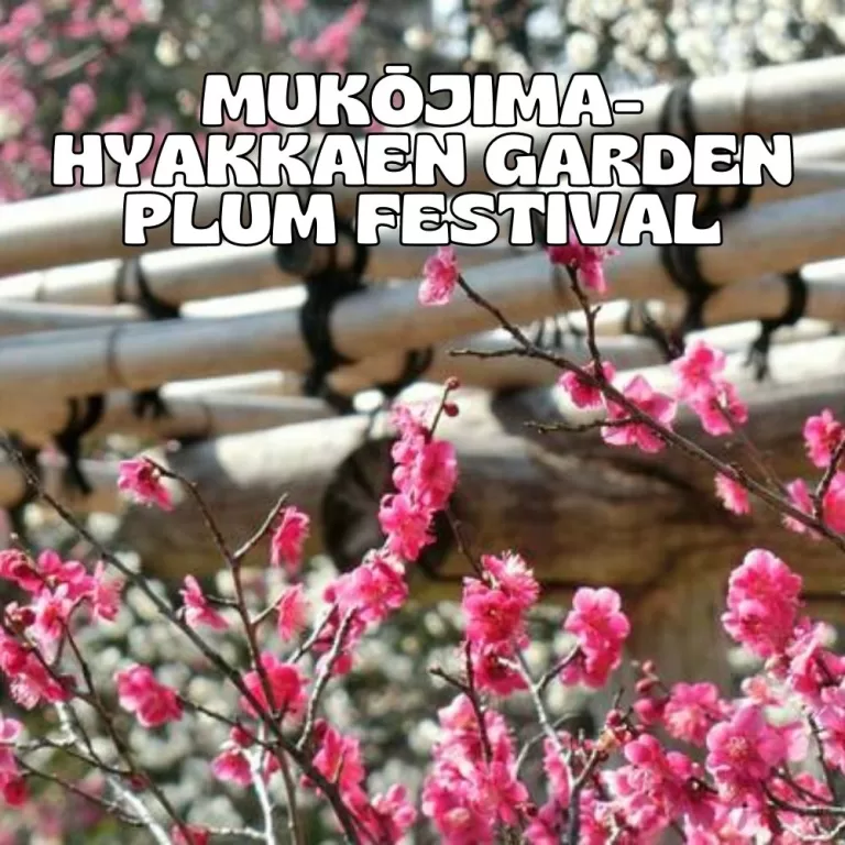 Mukōjima-Hyakkaen Garden Plum Festival