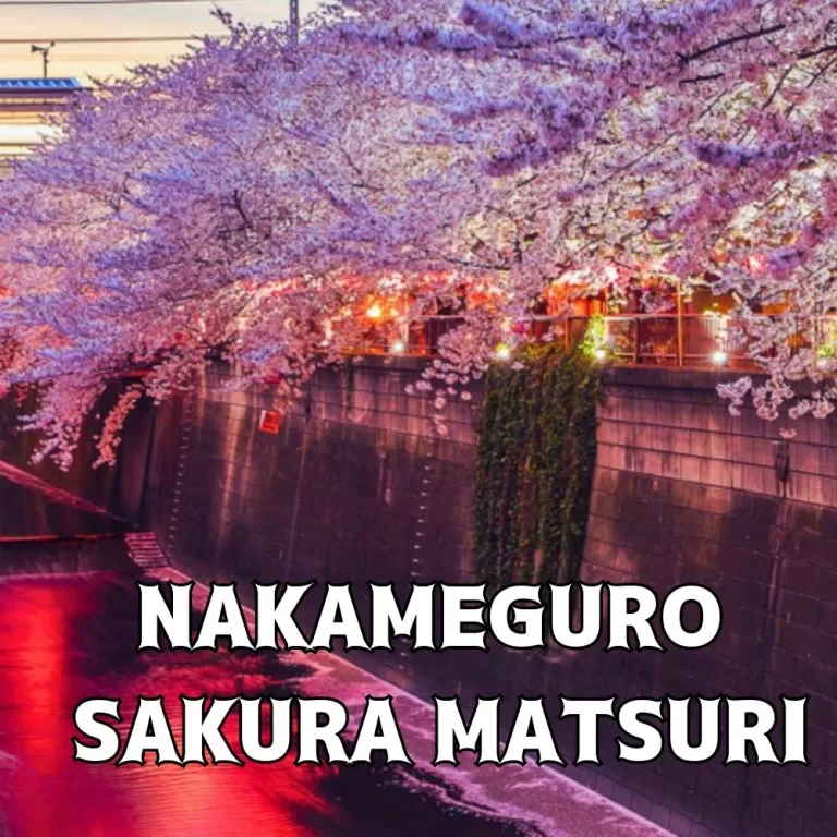 Nakameguro Cherry Blossom Festival Resumes After Four Years