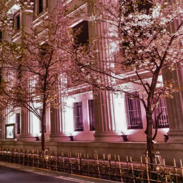 Nihonbashi Sakura Festival