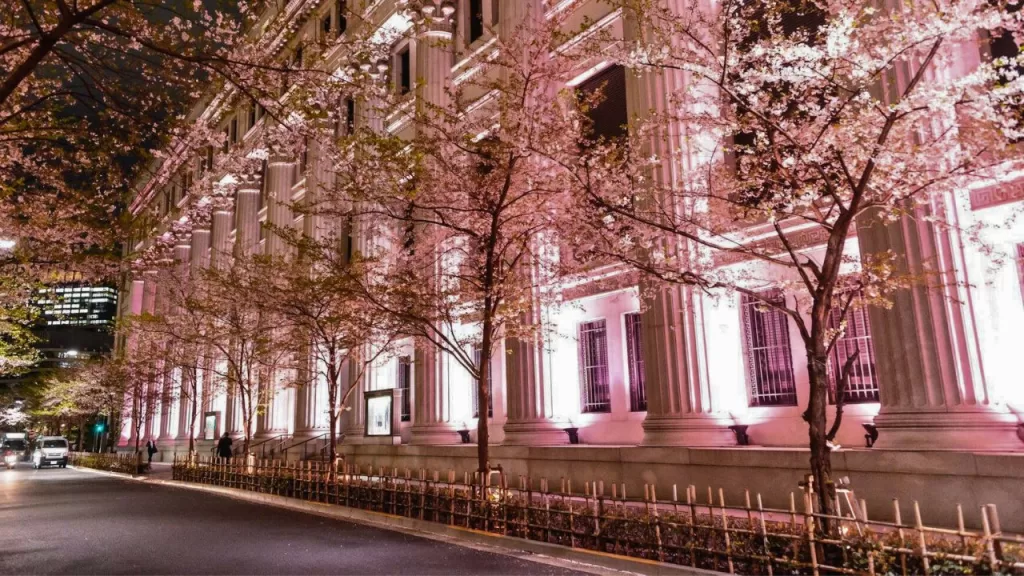 Nihonbashi Sakura Festival in Tokyo