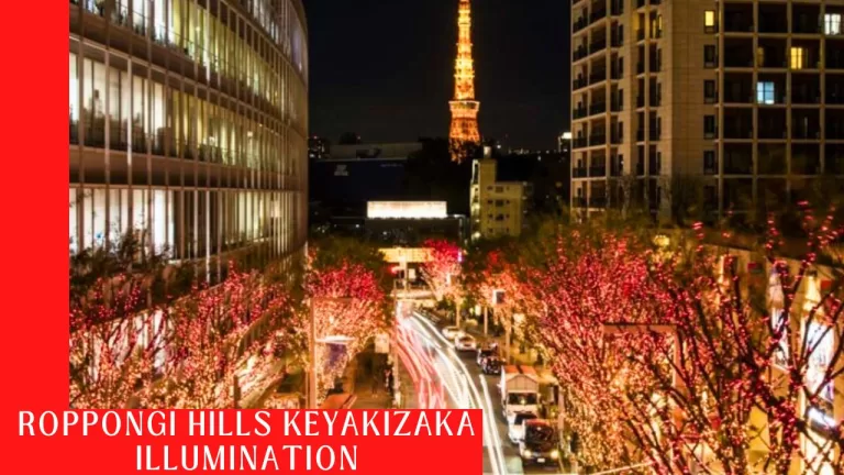 Roppongi Hills Keyakizaka Illumination in Tokyo