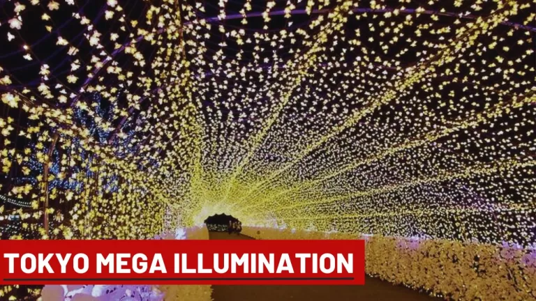 Tokyo Mega Illumination in Tokyo in December