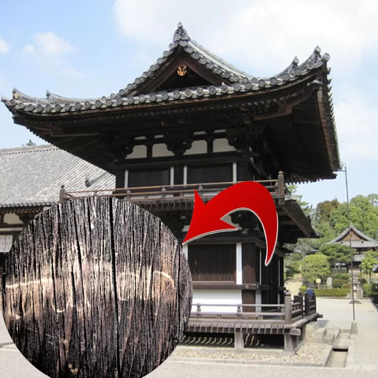 Canadian Teen Vandalizes 1,200 Year Old Japanese Temple to “Kill Time”