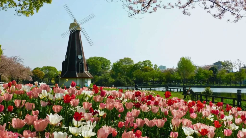 Ukima Park Tulip Illumination