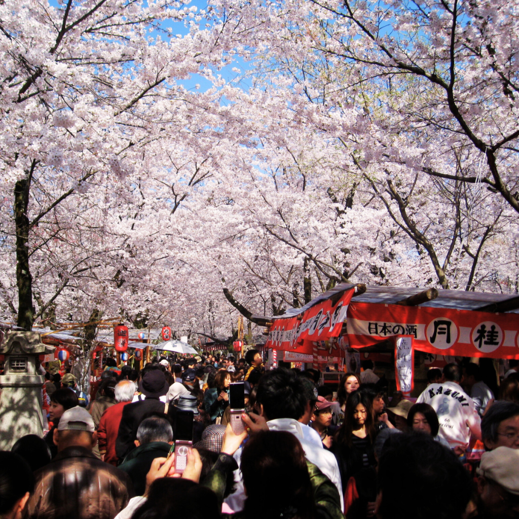 Hirano Shrine Okasai