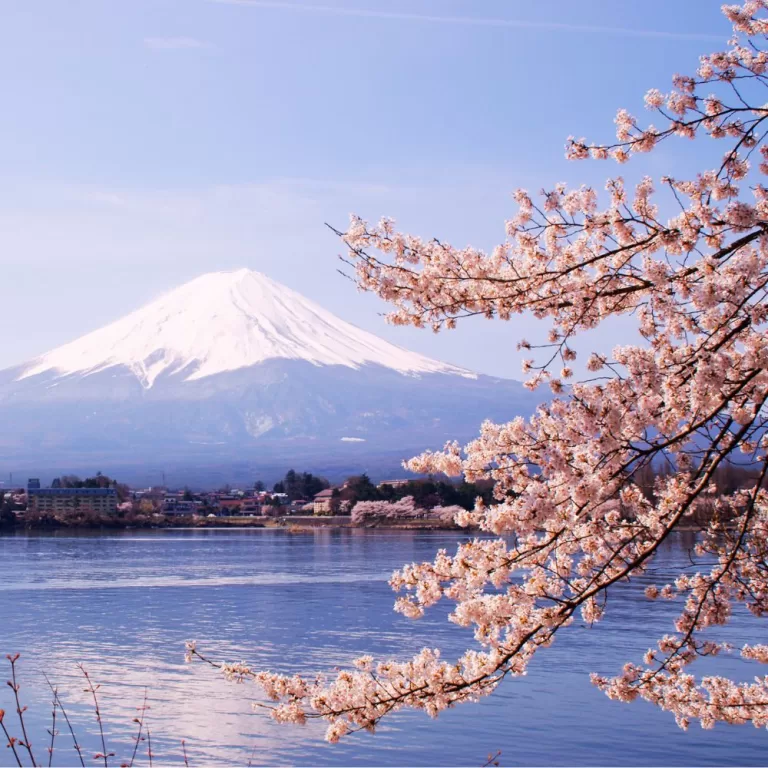 Fuji Kawaguchiko Onsen – Relax in Hot Spring Baths with Views of Mount Fuji