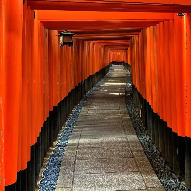 Fushimi Inari Taisha 8