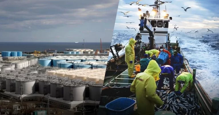 Japan Begins Controversial Release of Fukushima Wastewater into Pacific Ocean