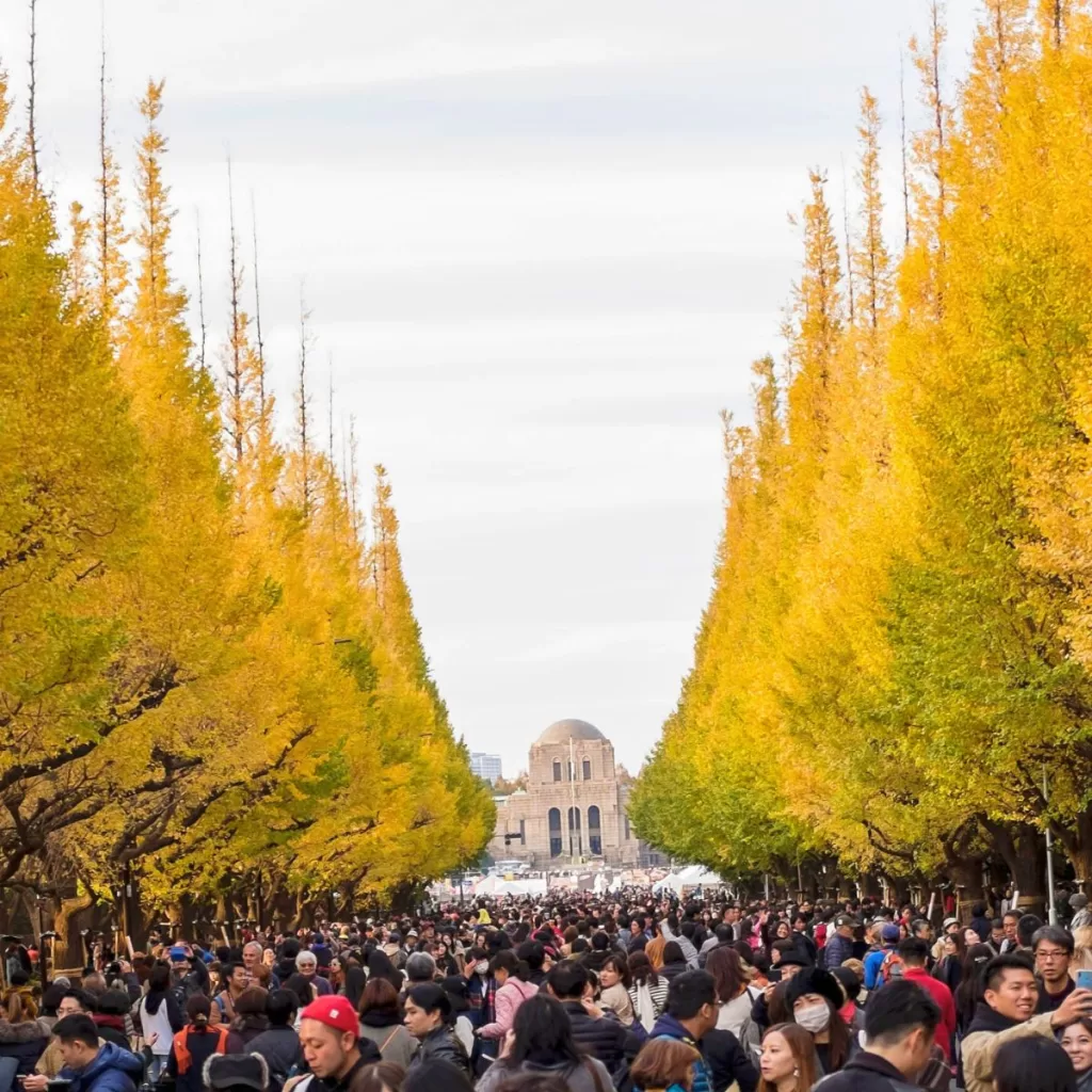 Jingu Gaien Ginkgo Festival