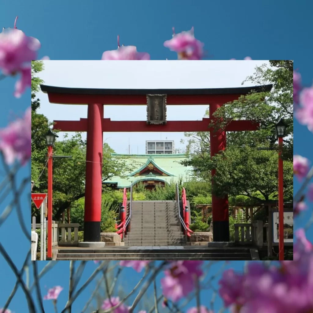 Kameido Tenjin Wisteria Festival