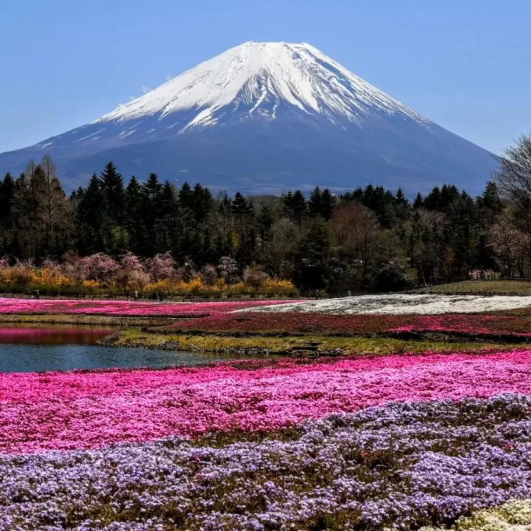 Fuji Five Lakes: A Beautiful Blend of Nature and Serenity in Yamanashi Prefecture