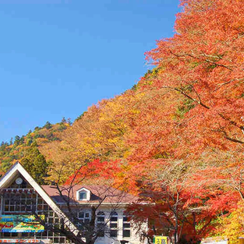 Mt. Takao Autumn Leaves Festival