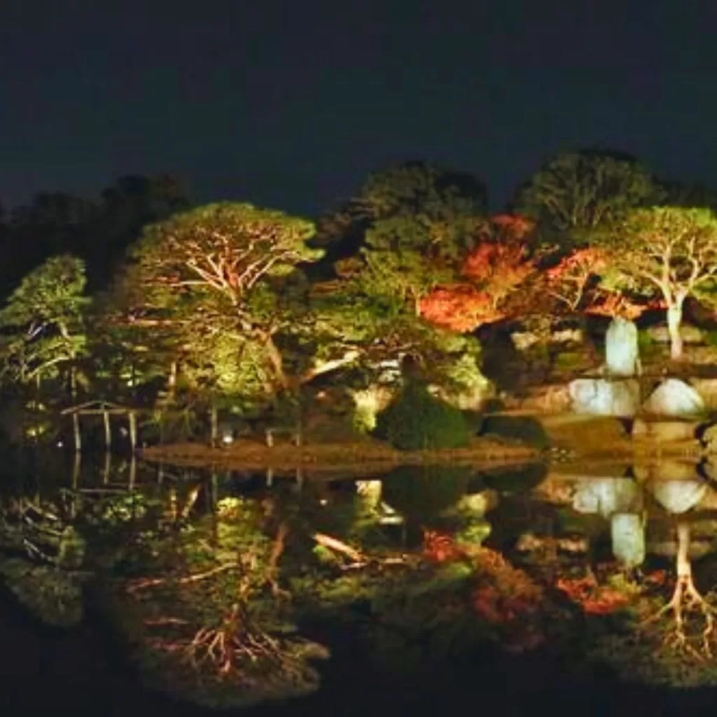 Rikugien Garden Autumn Illumination