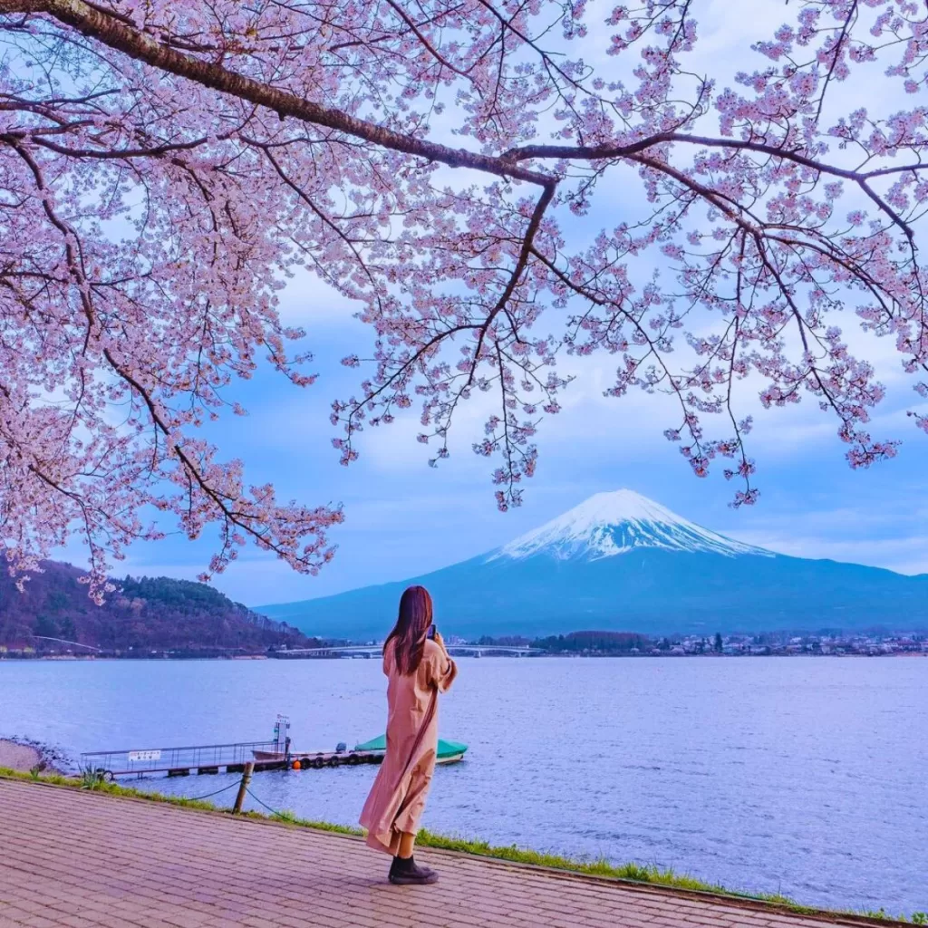 Things-to-Do-At-Lake-Kawaguchi-11