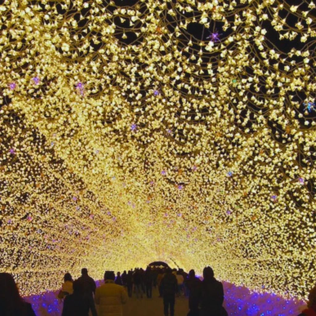 Tokyo Mega Illumination