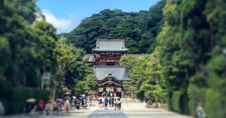 Tsurugaoka Hachimangu Shrine: A Tranquil Oasis in Kamakura