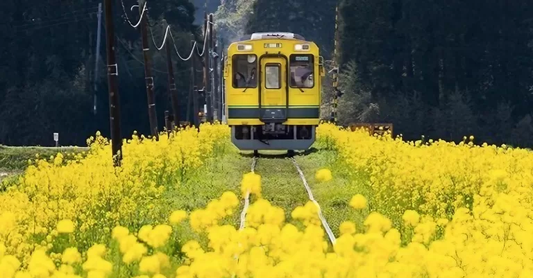 5 Best Japan Rail Pass Alternative to Save Money