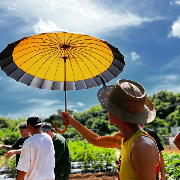 The Rise of the Manbrella: How the Humble Sun Umbrella is Redefining Japanese Masculinity