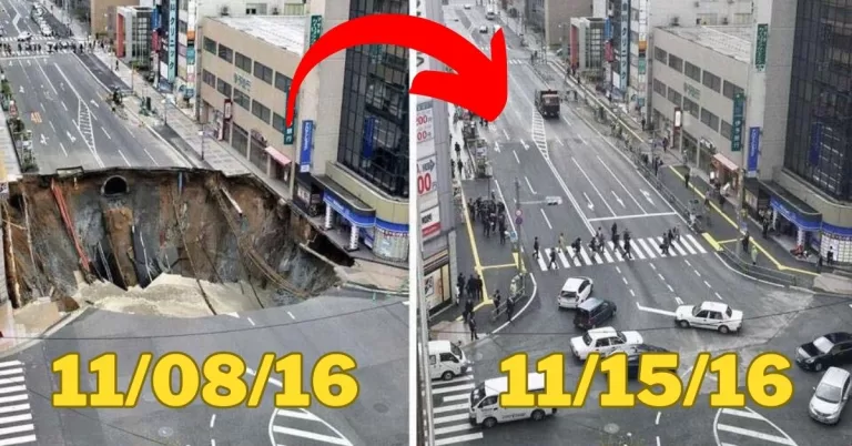 Japanese Engineers Stun World by Fixing Massive Sinkhole in Just Days