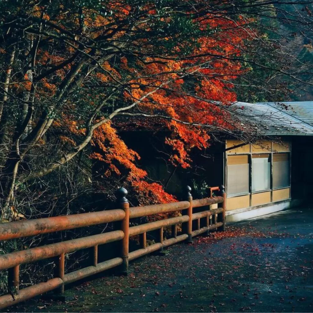 Autumn in Nikko